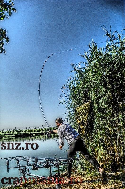 Senior Trophy (3) - 2013 - 1013036hdrmode2.jpg